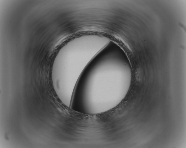 X0000097920968200803141027