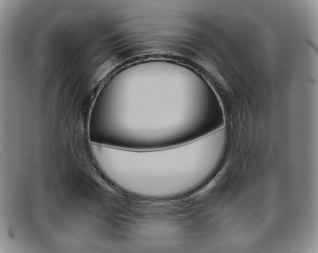X0000097920969200803141027