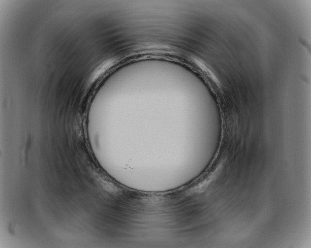 X0000097920970200803141027