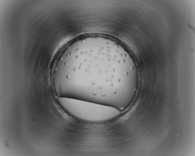 X0000097920974200803141027