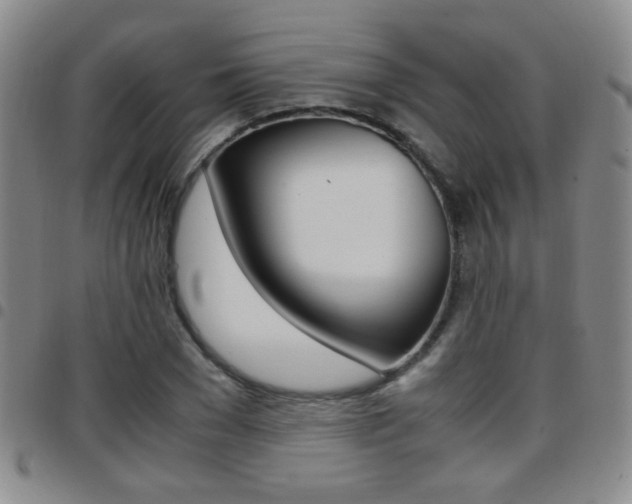 X0000097920977200803141027