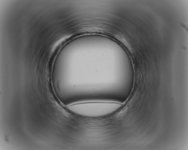 X0000097920979200803141027