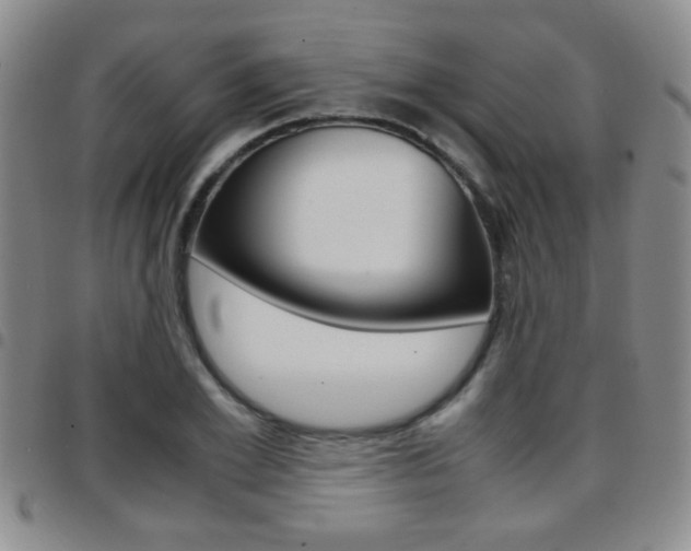 X0000097920981200803141027