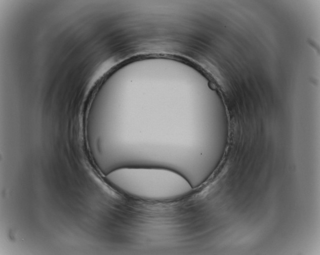 X0000097920982200803141027