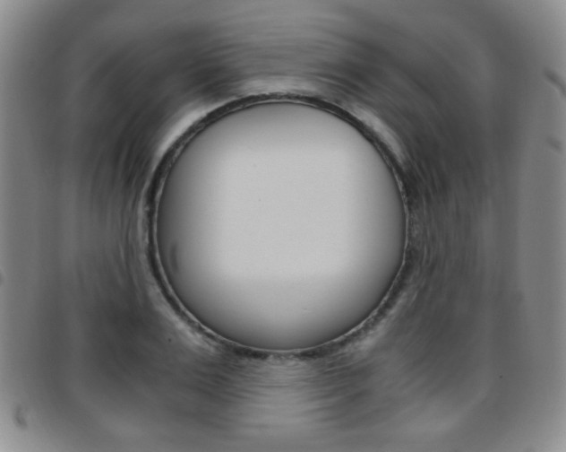 X0000097920983200803141027