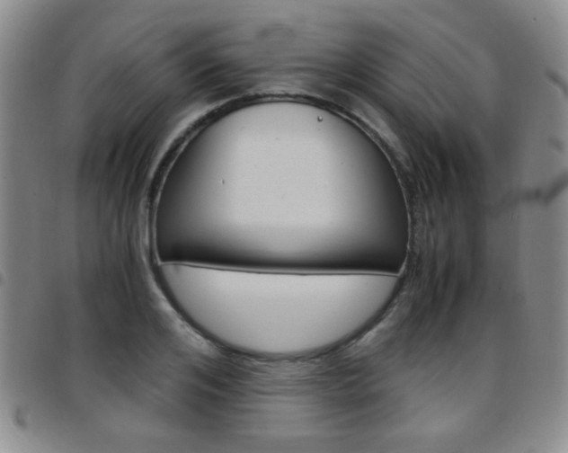 X0000097920984200803141027