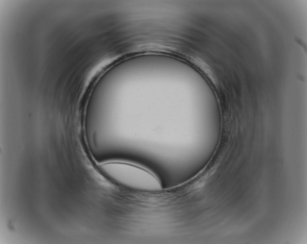 X0000097920987200803141027