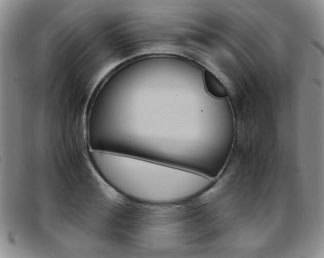 X0000097920988200803141027