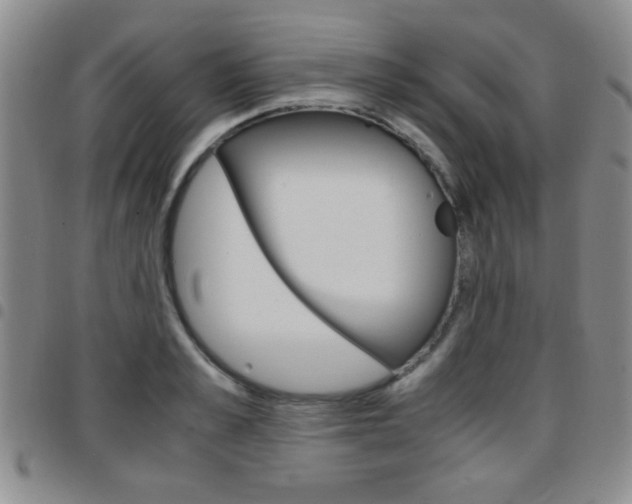 X0000097920989200803141027