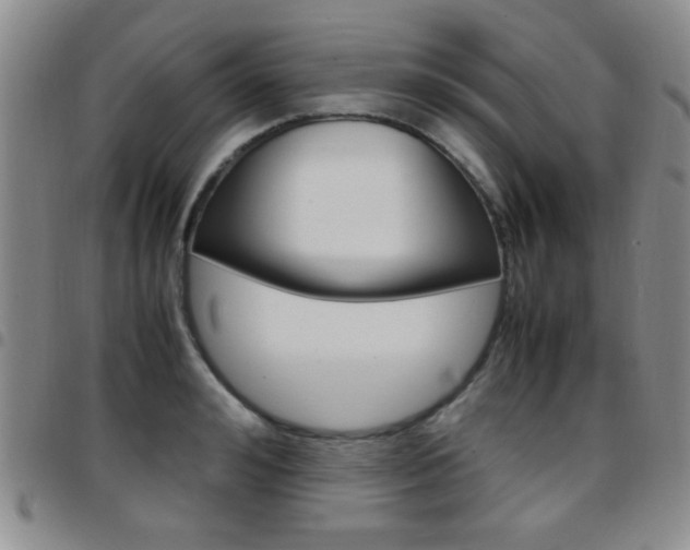 X0000097920992200803141027