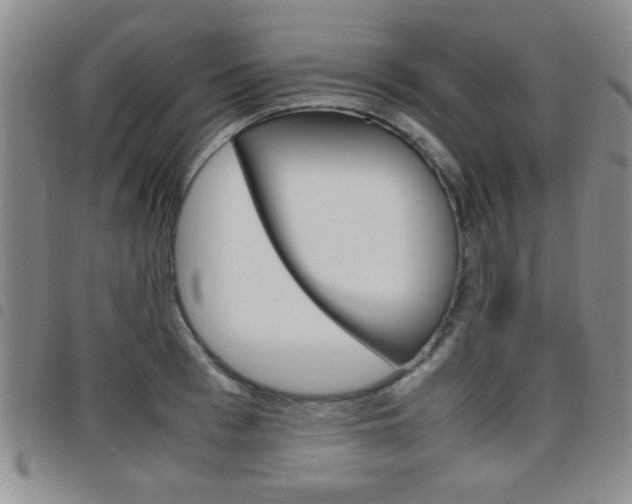 X0000097920993200803141027