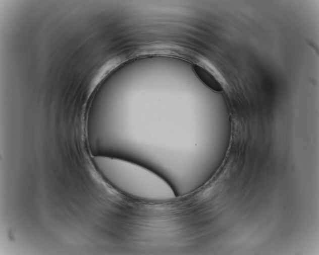 X0000097920994200803141027