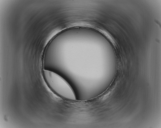 X0000097920999200803141027