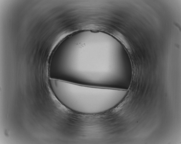 X0000097921000200803141027
