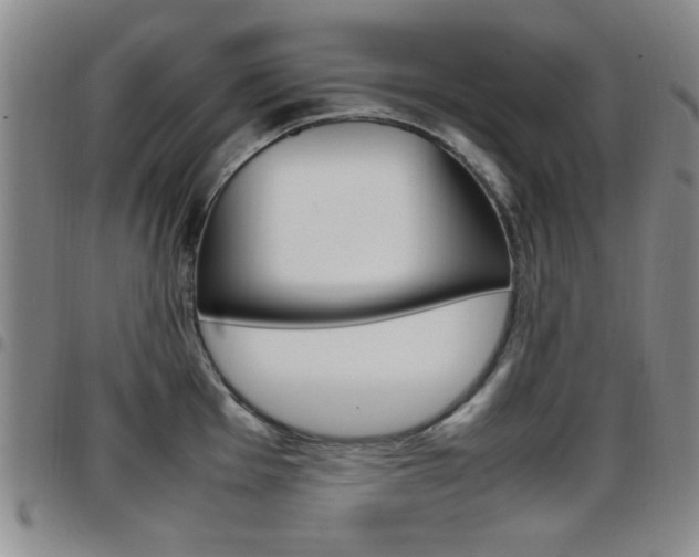X0000097921001200803141027