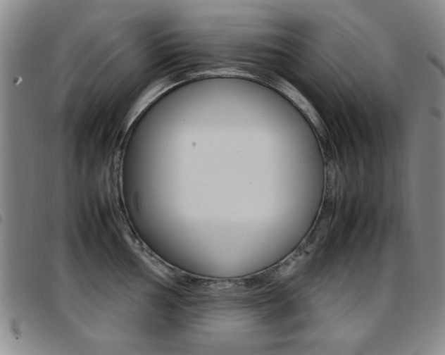 X0000097921002200803141027