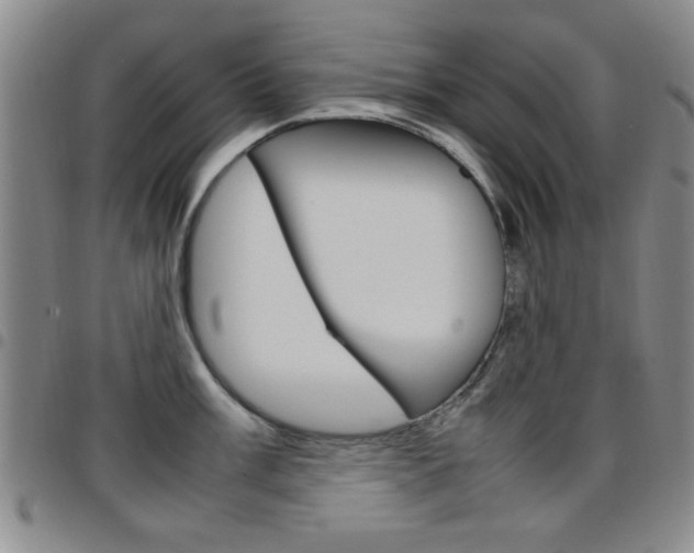 X0000097921003200803141027