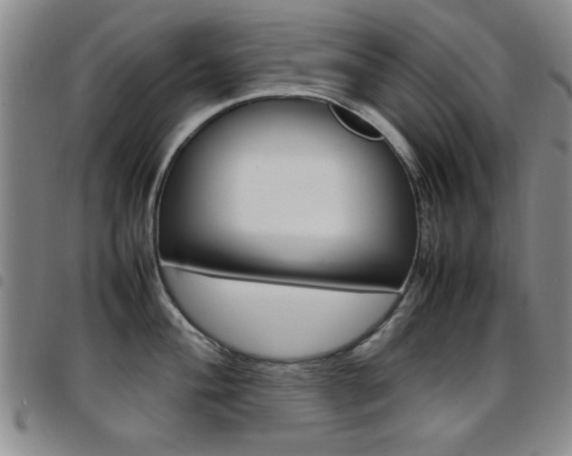 X0000097921004200803141027