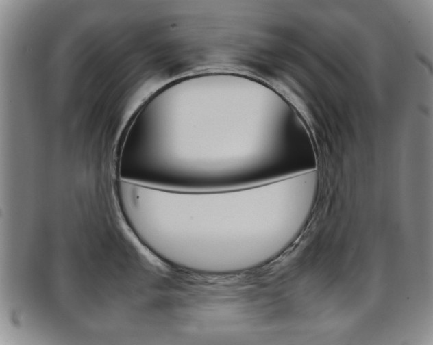 X0000097921005200803141027