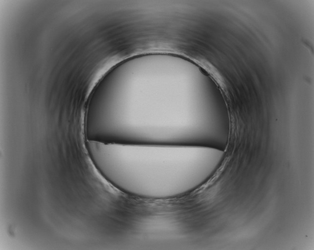X0000097921006200803141027