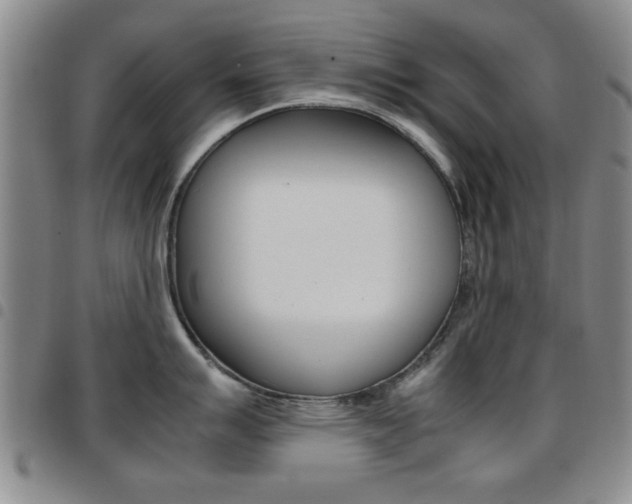 X0000097921007200803141027