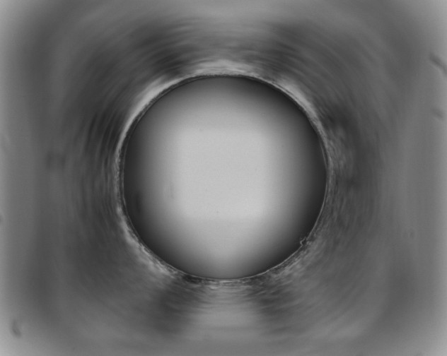 X0000097921008200803141027