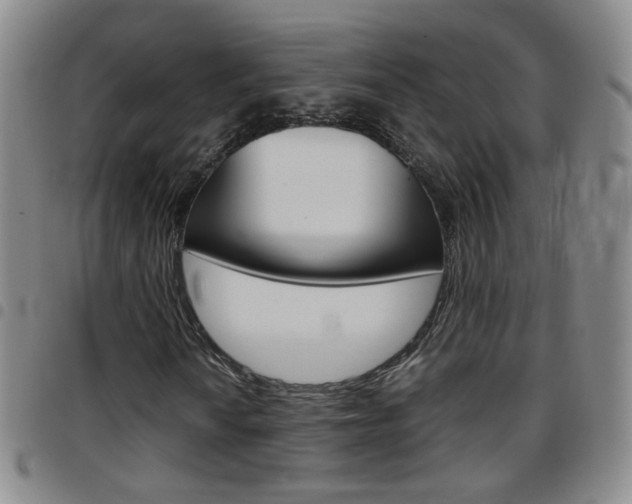 X0000097921010200803141026