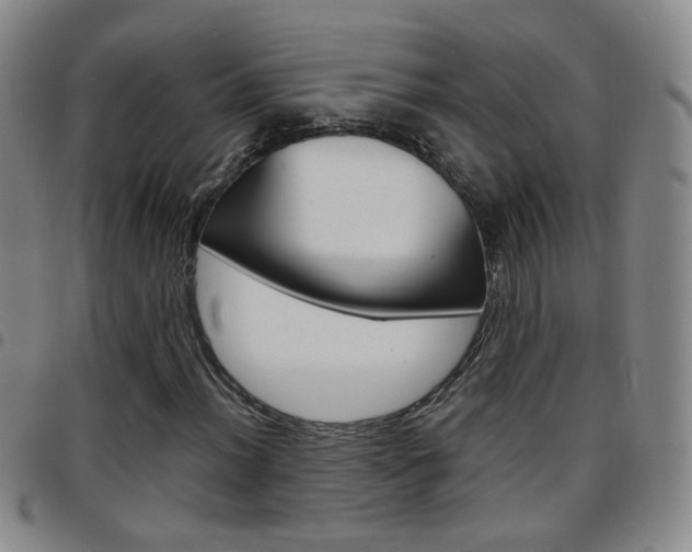 X0000097921012200803141026