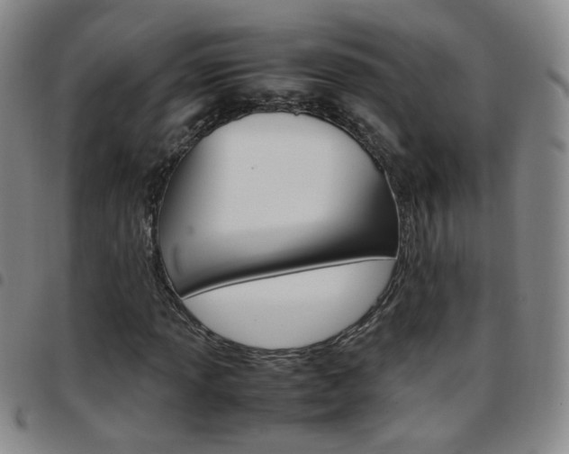 X0000097921013200803141026