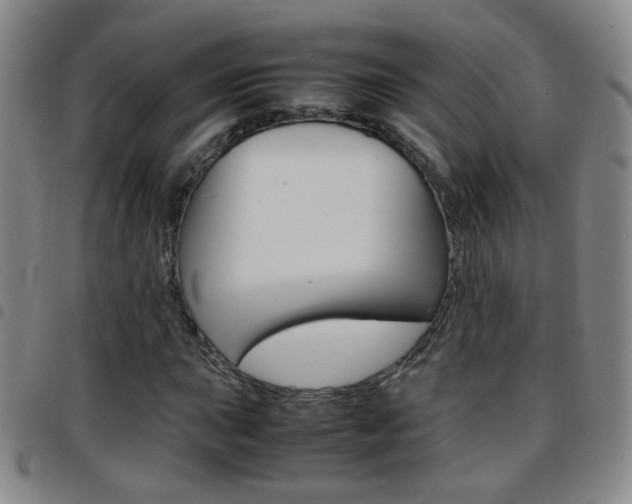 X0000097921015200803141026