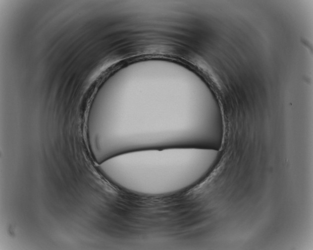 X0000097921019200803141026