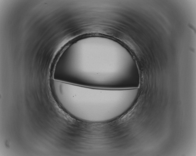 X0000097921020200803141026