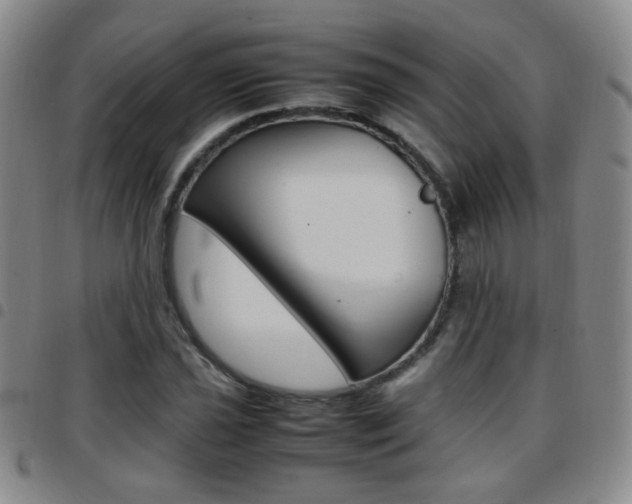 X0000097921021200803141026