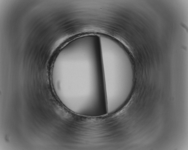 X0000097921022200803141026