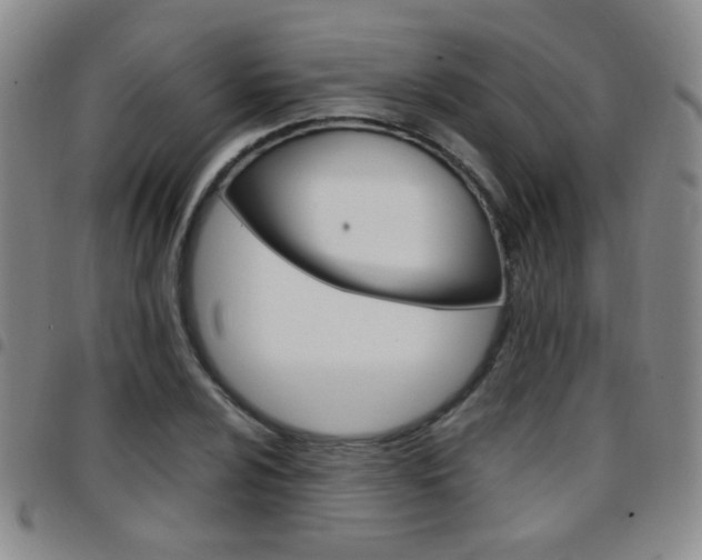 X0000097921024200803141026