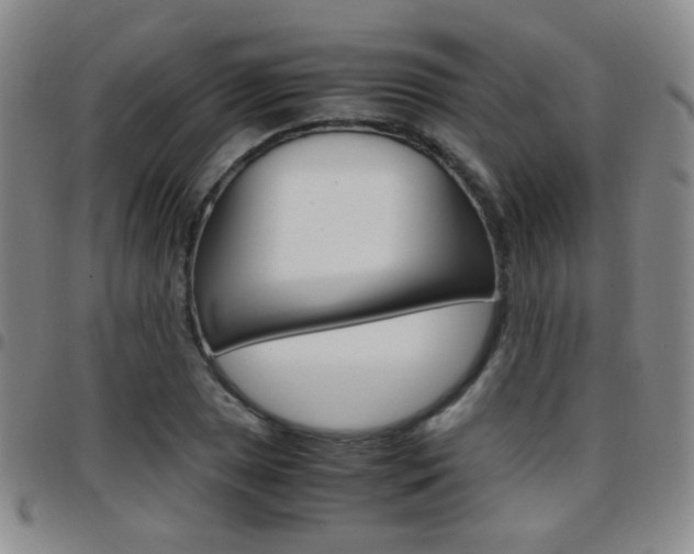 X0000097921025200803141026