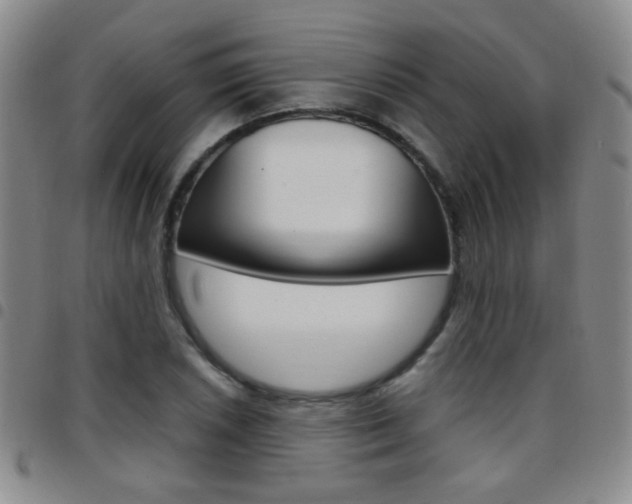 X0000097921026200803141026