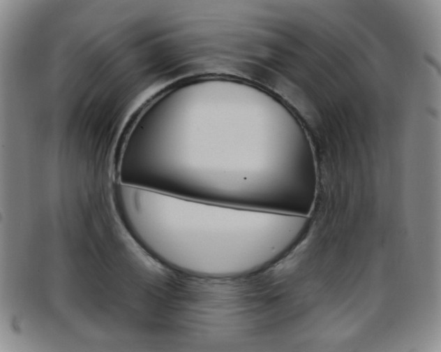 X0000097921028200803141026