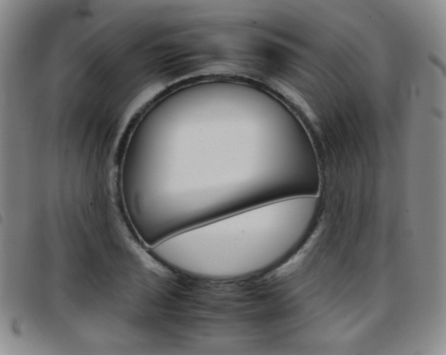 X0000097921029200803141026