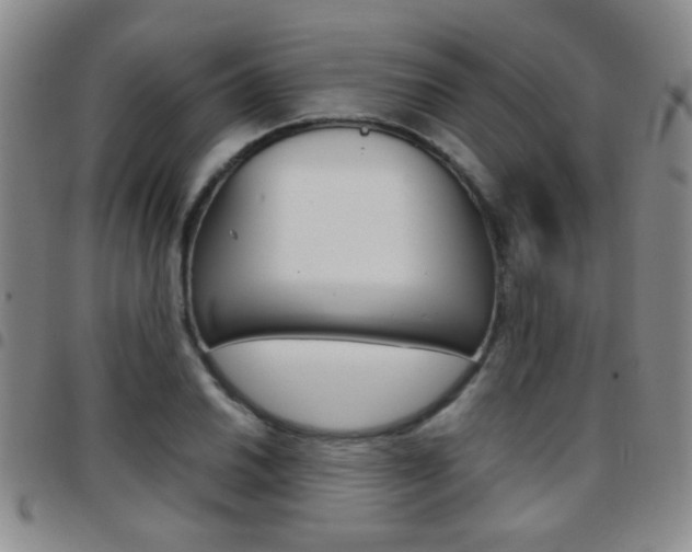 X0000097921030200803141026