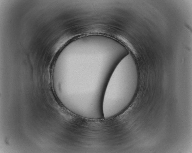 X0000097921031200803141026
