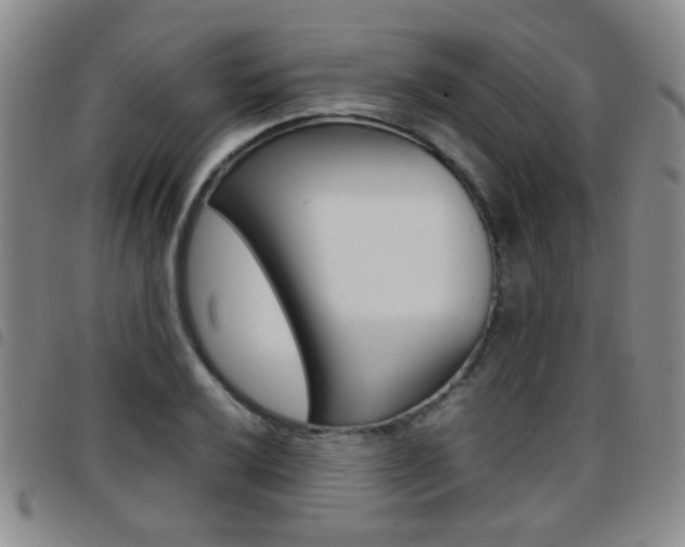 X0000097921032200803141026