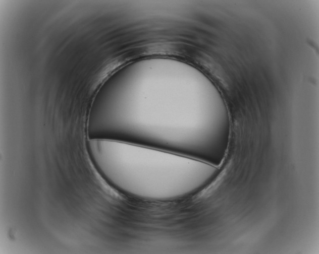 X0000097921033200803141026