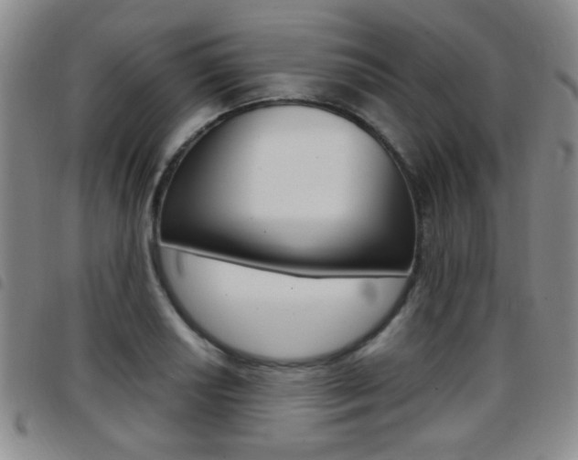 X0000097921034200803141026