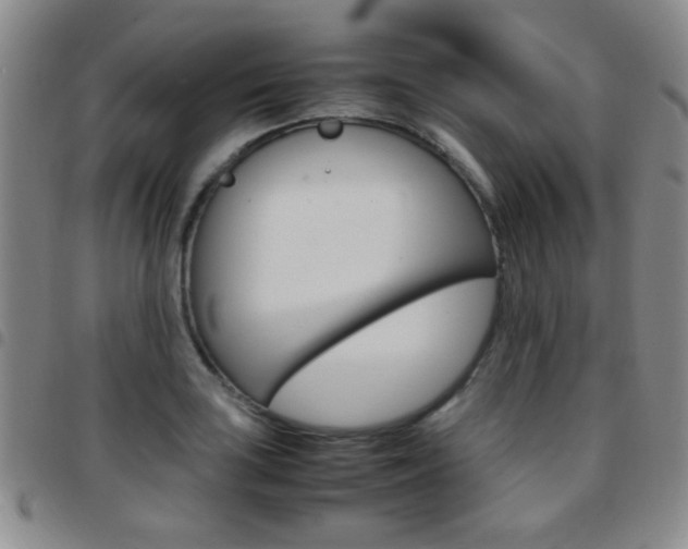 X0000097921035200803141026