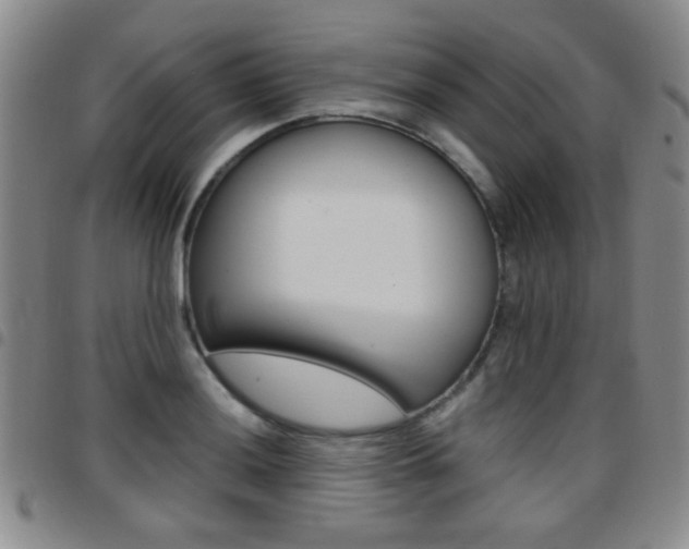 X0000097921036200803141026