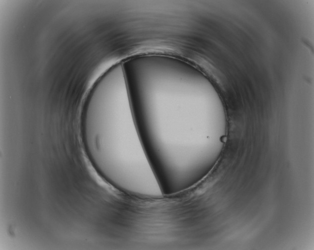 X0000097921038200803141026