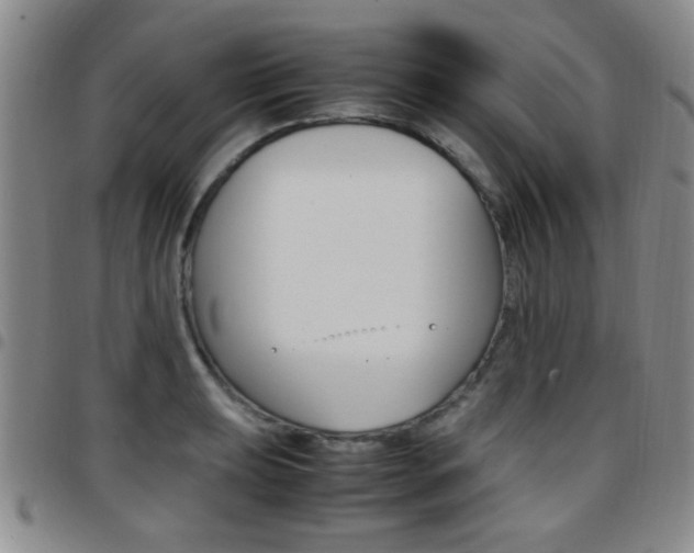 X0000097921039200803141026