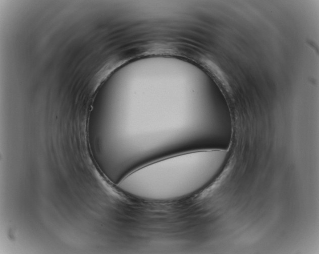 X0000097921041200803141026