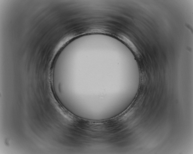 X0000097921043200803141026